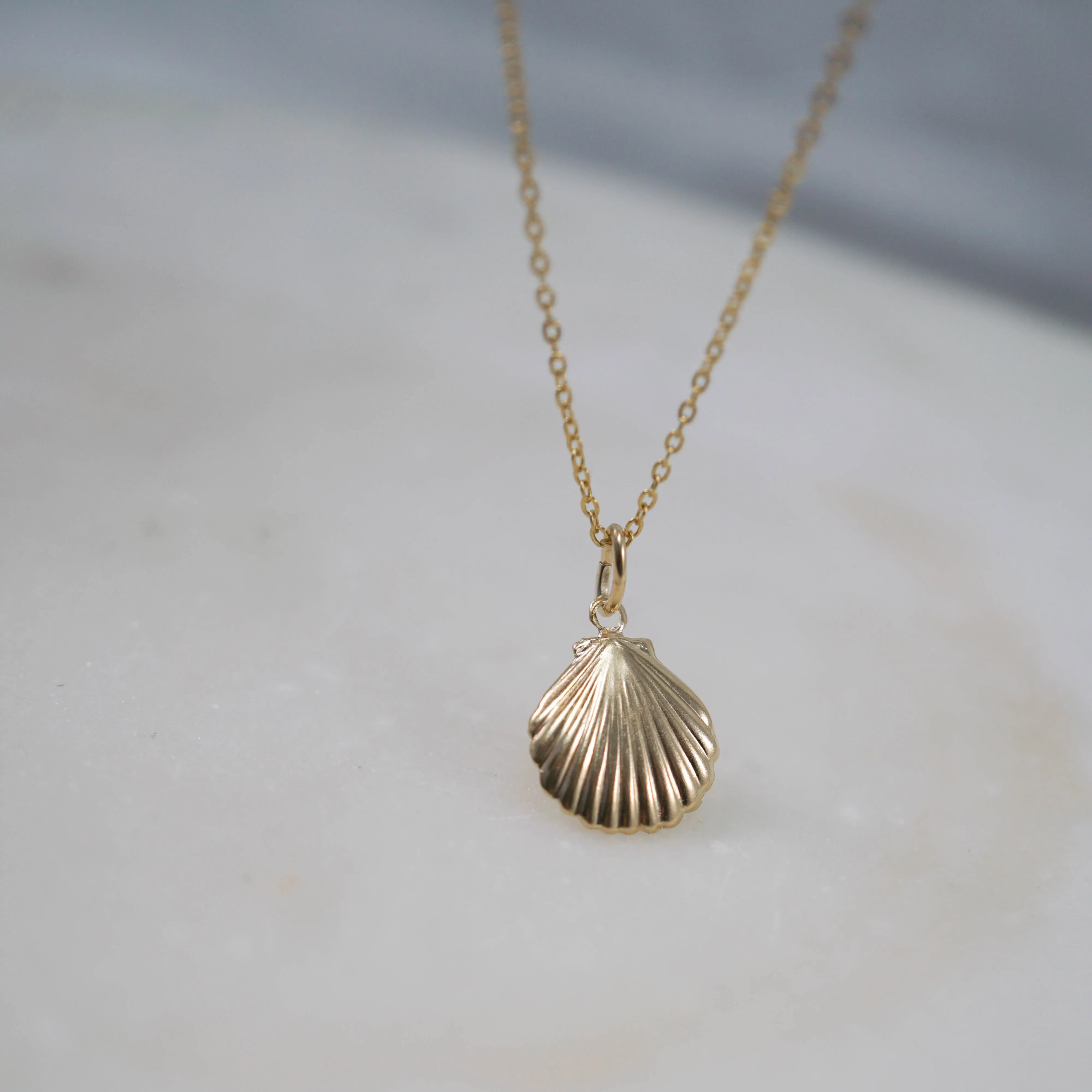 14kt Shell Chain