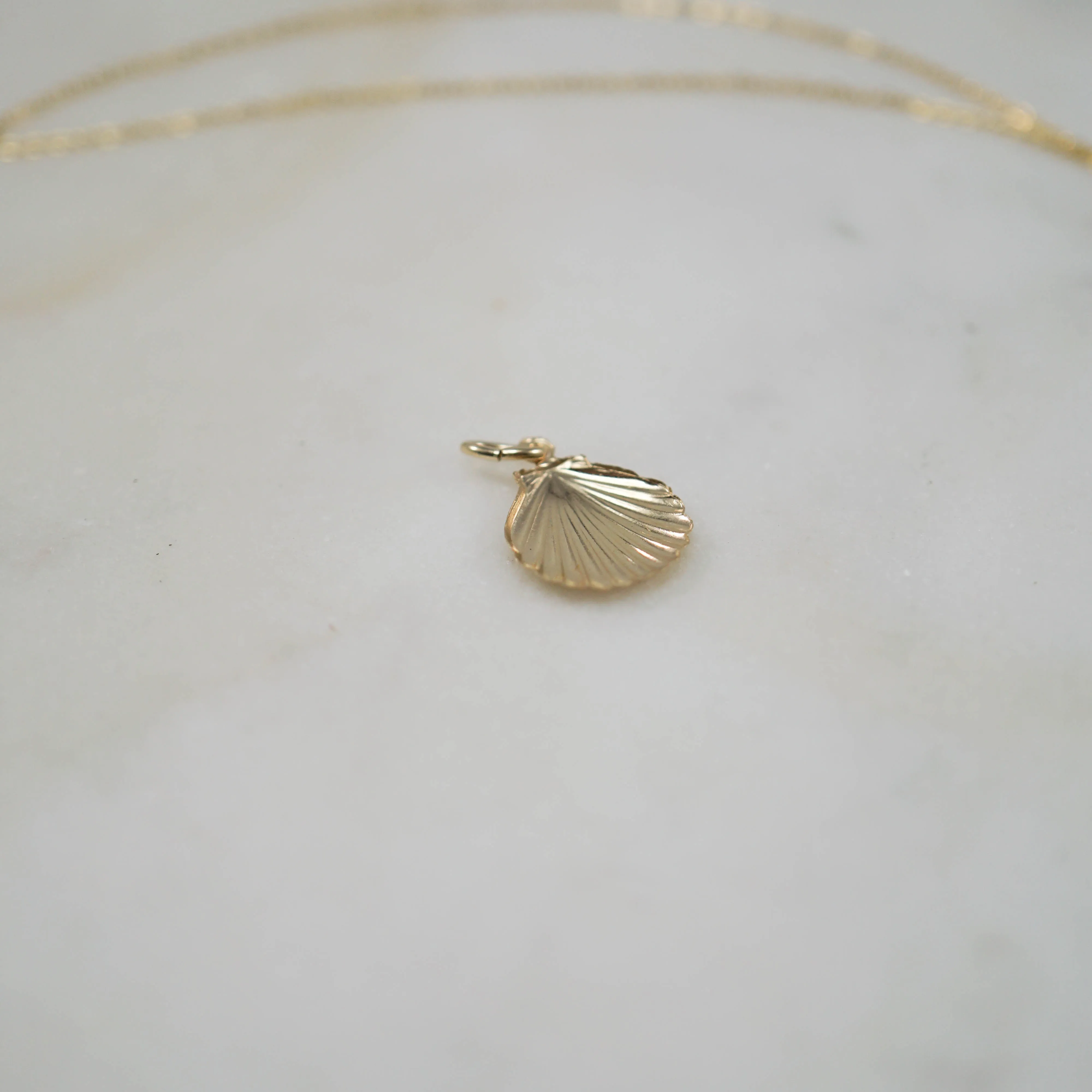 14kt Shell Chain