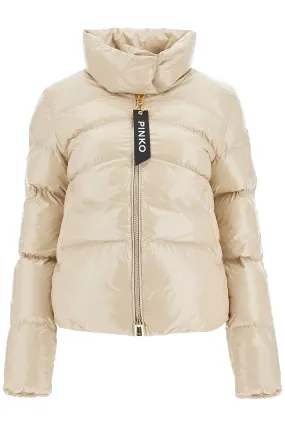 crystal nylon down jacket