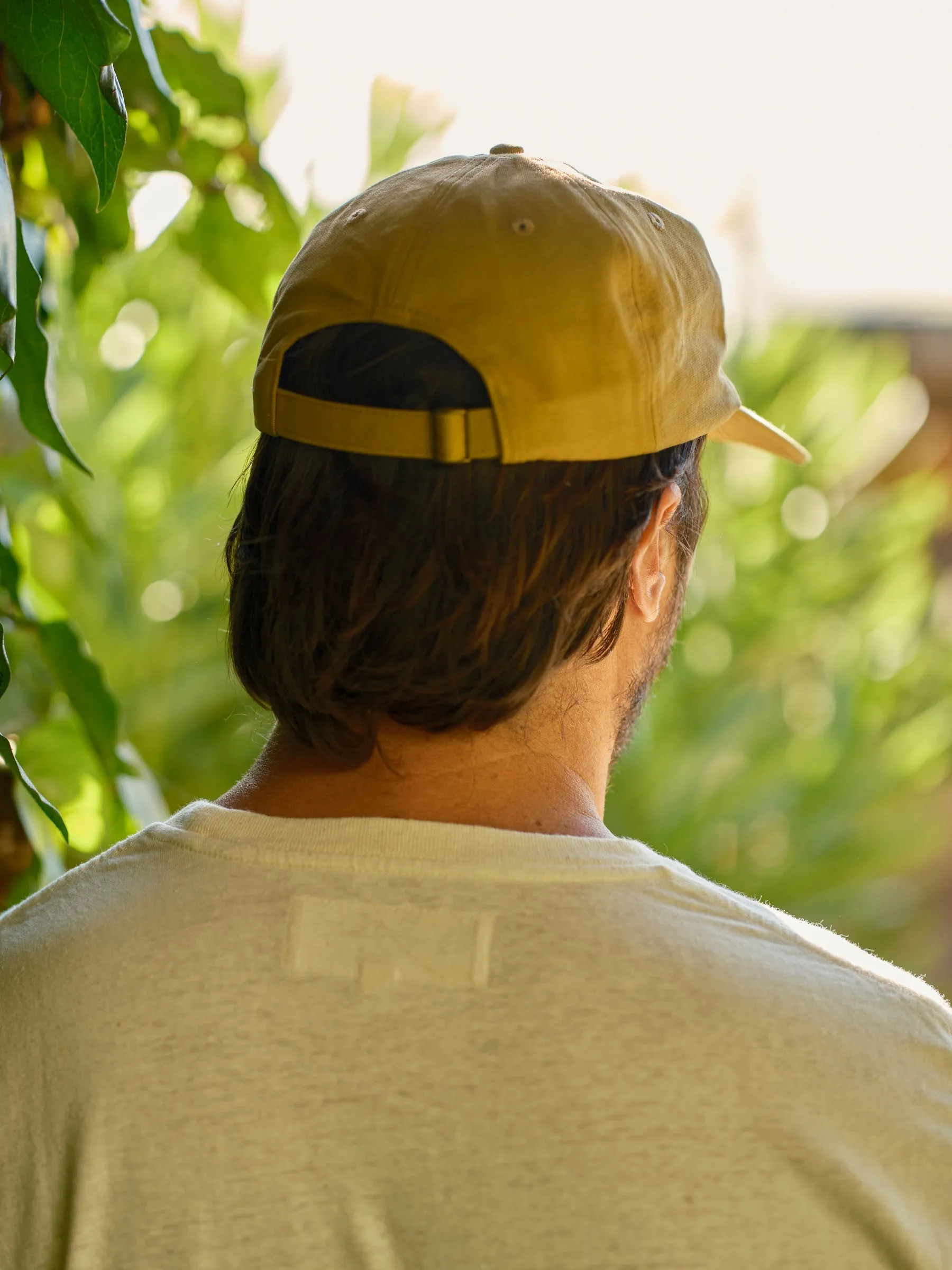 Mushroom Dad Hat