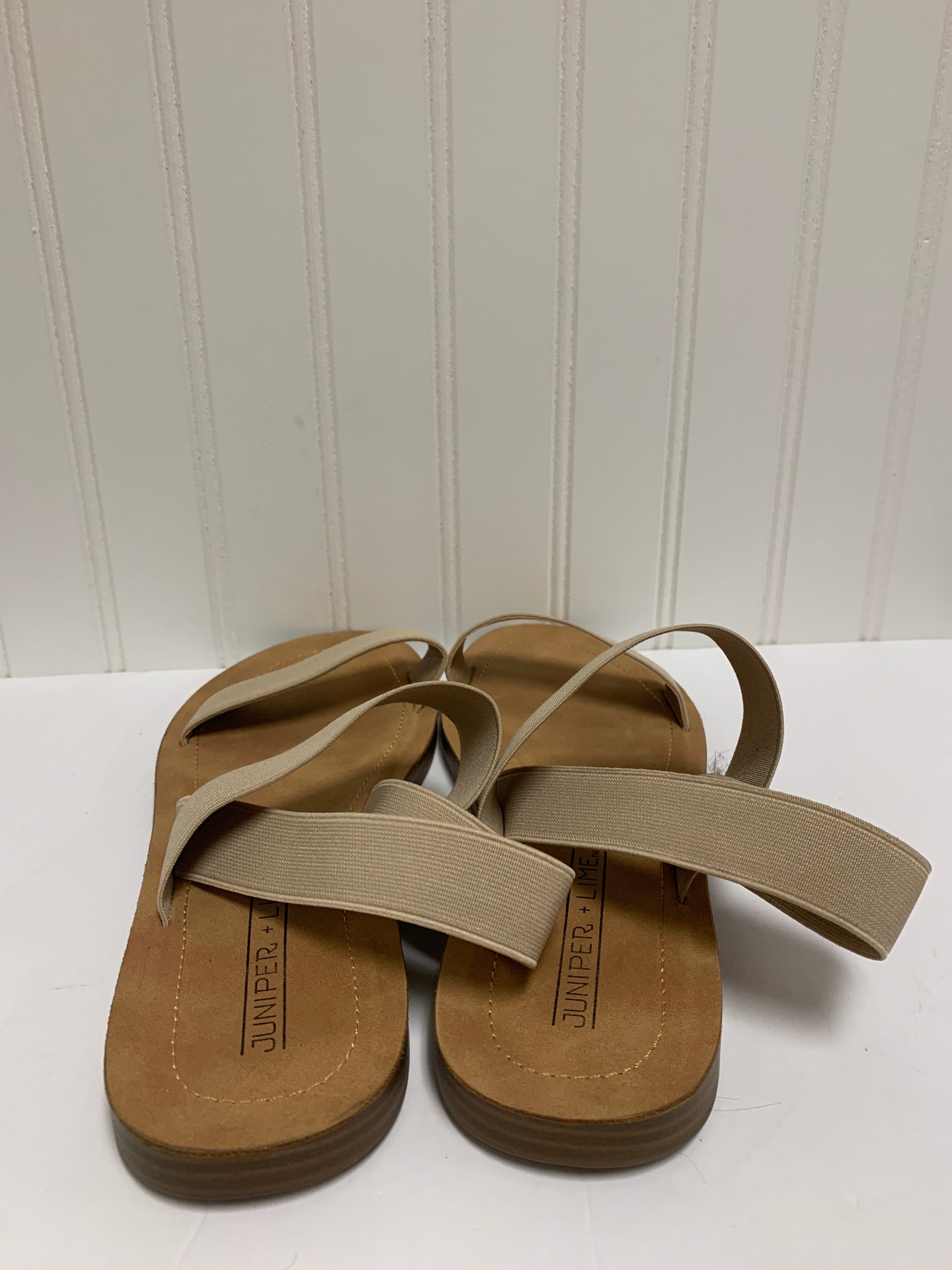 Sandals Flats By Clothes Mentor  Size: 10