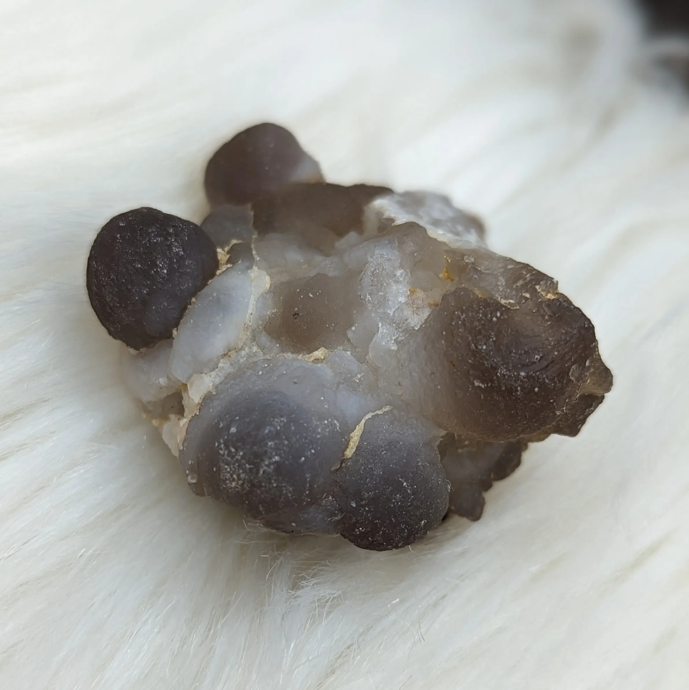 Truffle Chalcedony Specimens ~ Small Specimens from Morocco