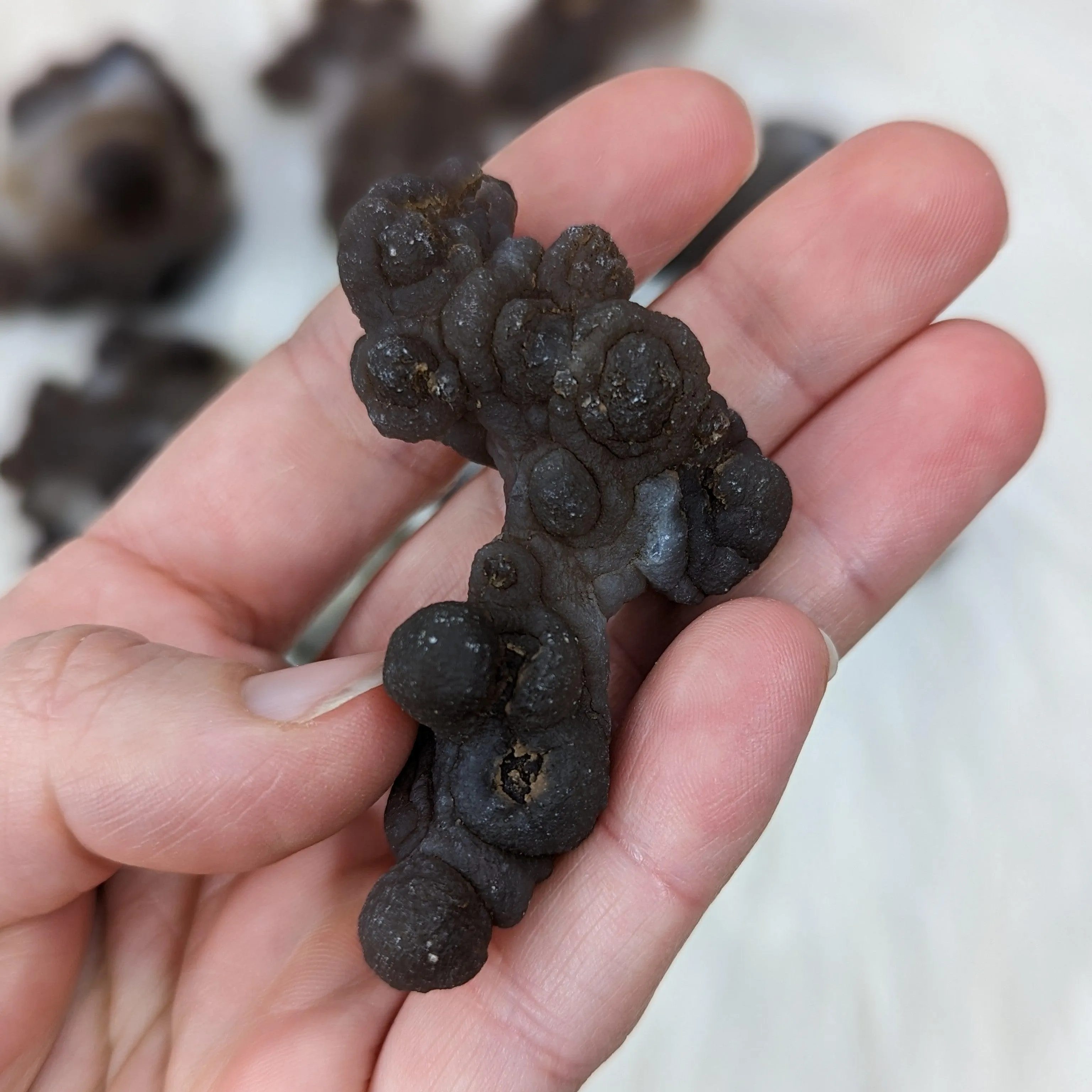 Truffle Chalcedony Specimens ~ Small Specimens from Morocco