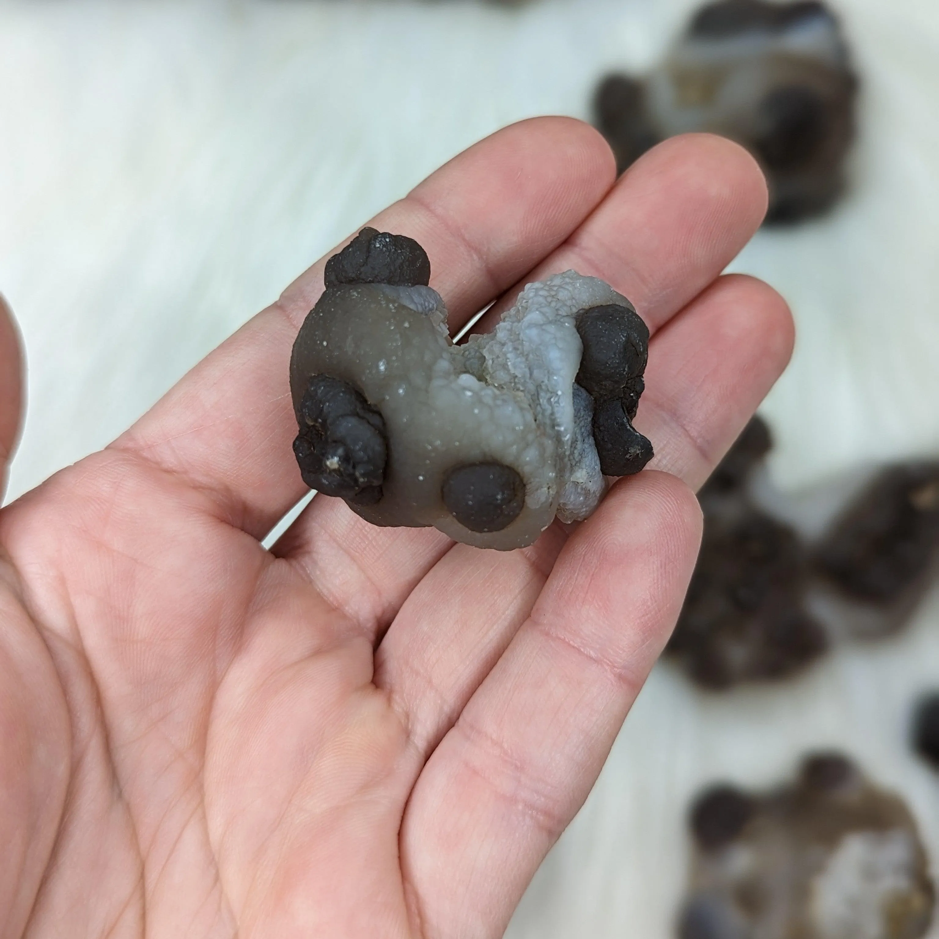 Truffle Chalcedony Specimens ~ Small Specimens from Morocco