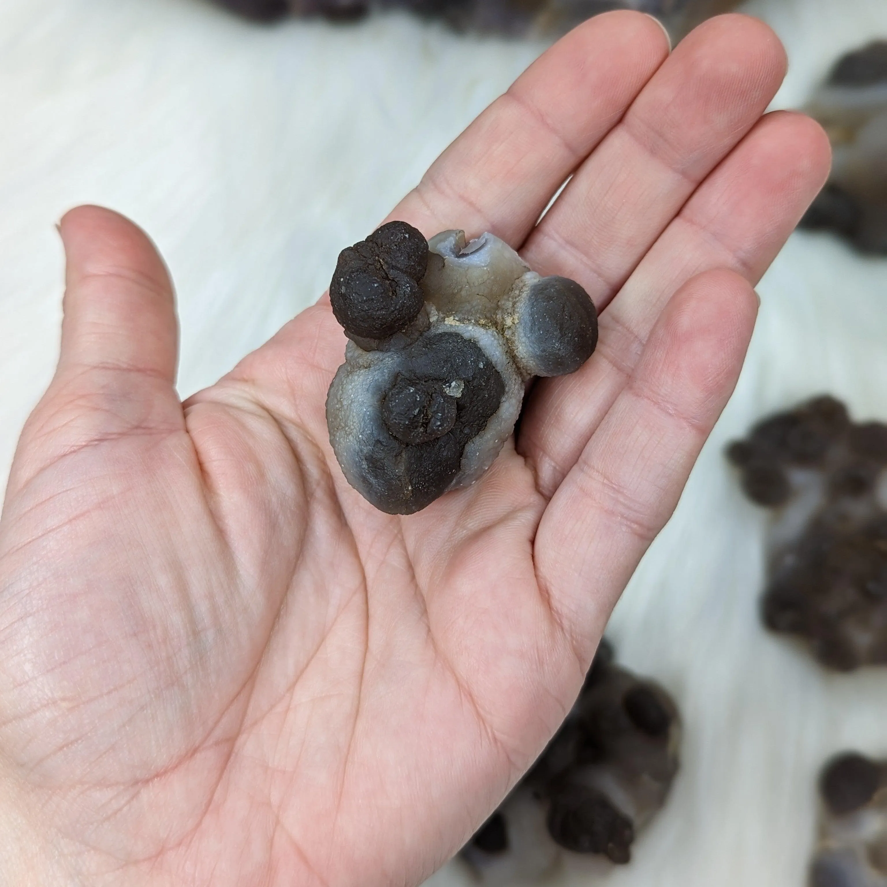 Truffle Chalcedony Specimens ~ Small Specimens from Morocco