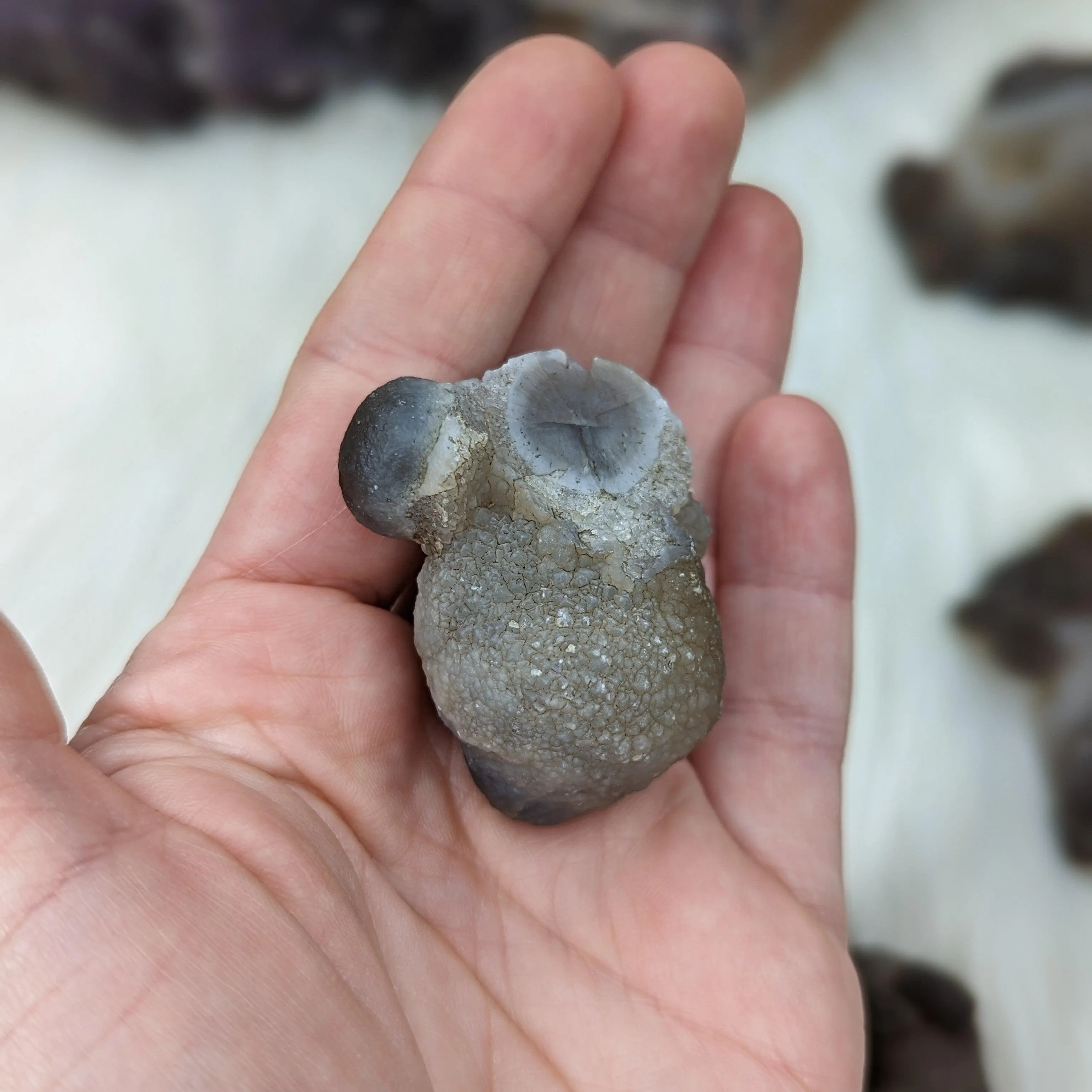 Truffle Chalcedony Specimens ~ Small Specimens from Morocco