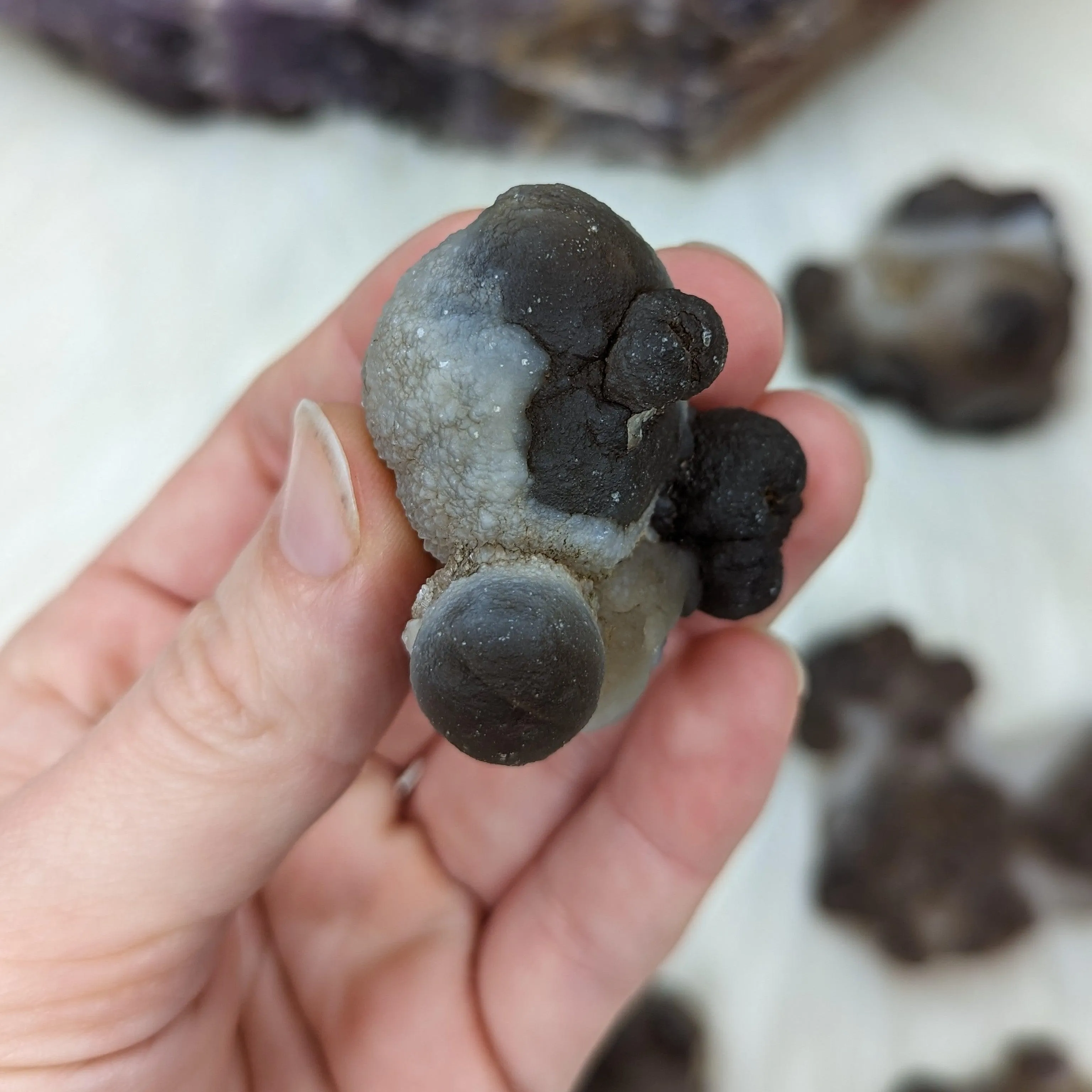 Truffle Chalcedony Specimens ~ Small Specimens from Morocco