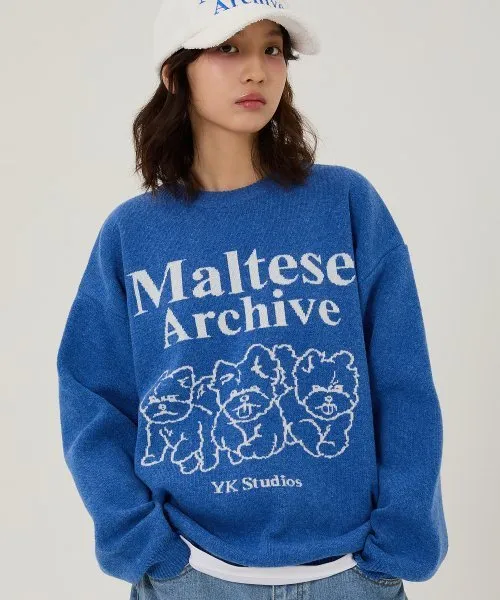 Wai Kei  |Unisex Street Style Long Sleeves Logo Sweaters