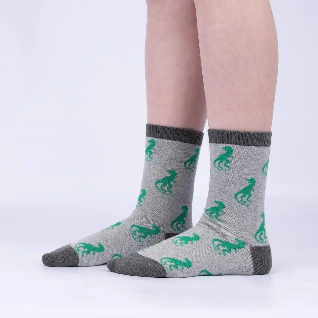 Youth Arch-eology 3-Pack Socks